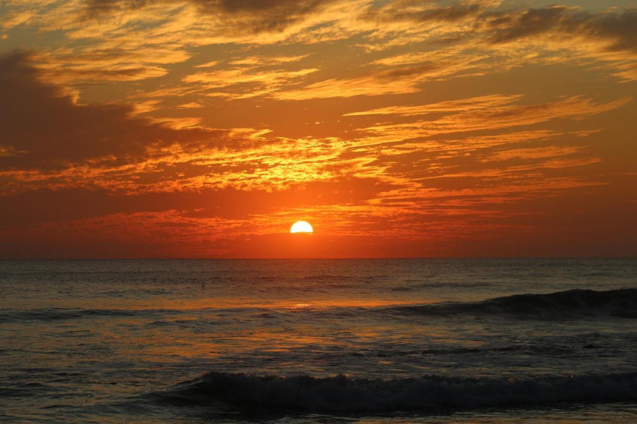 El Gato Rojas Surf Hostel Playa Santa Teresa  Ngoại thất bức ảnh