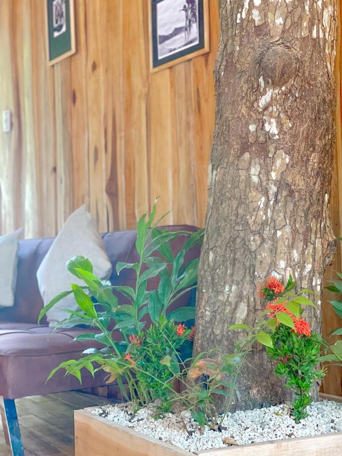 El Gato Rojas Surf Hostel Playa Santa Teresa  Ngoại thất bức ảnh