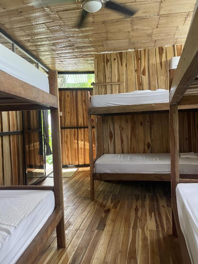 El Gato Rojas Surf Hostel Playa Santa Teresa  Ngoại thất bức ảnh