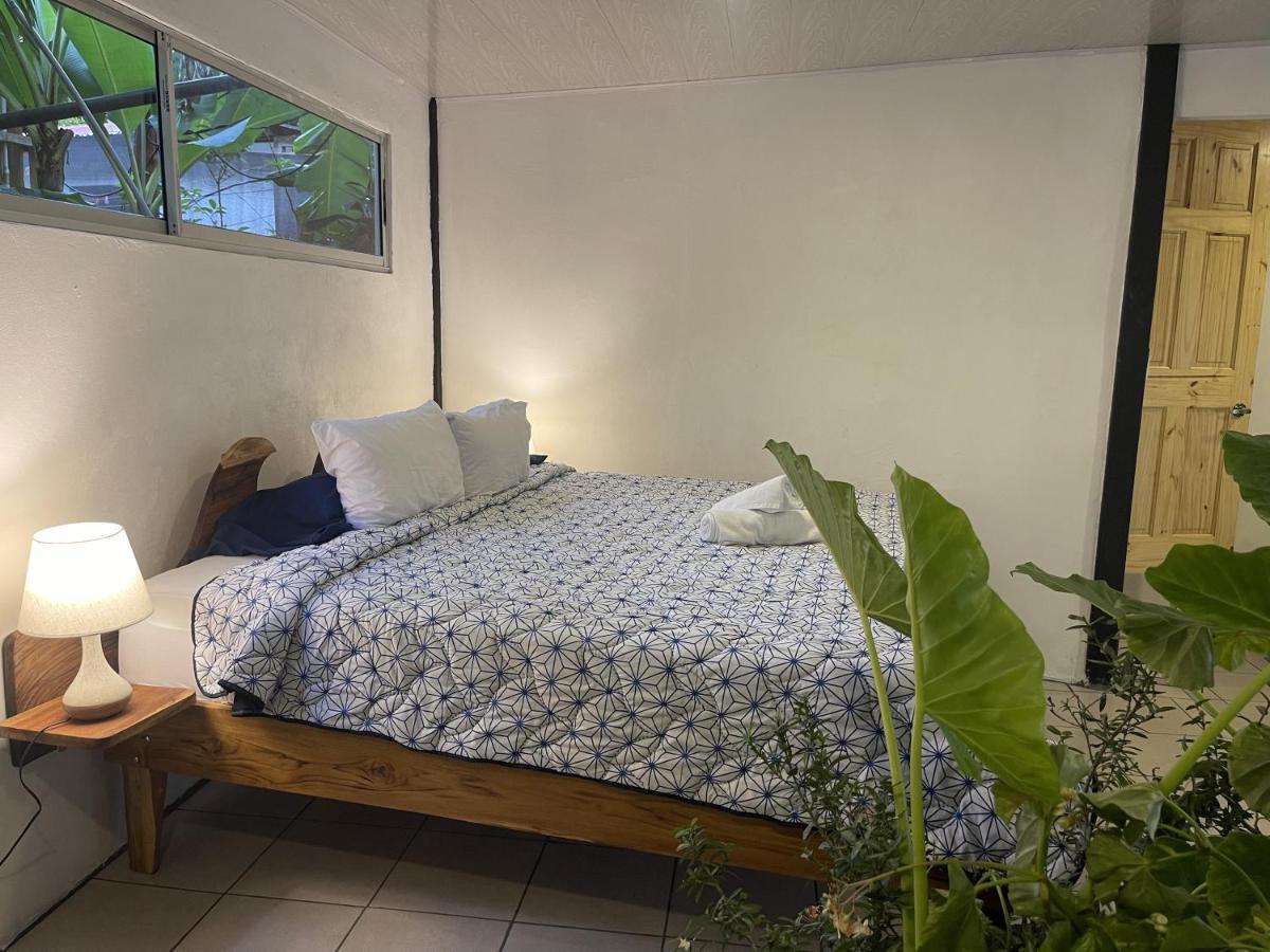 El Gato Rojas Surf Hostel Playa Santa Teresa  Ngoại thất bức ảnh