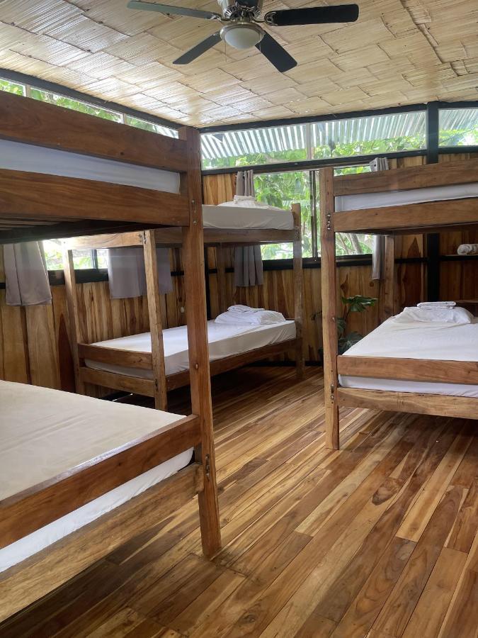 El Gato Rojas Surf Hostel Playa Santa Teresa  Ngoại thất bức ảnh