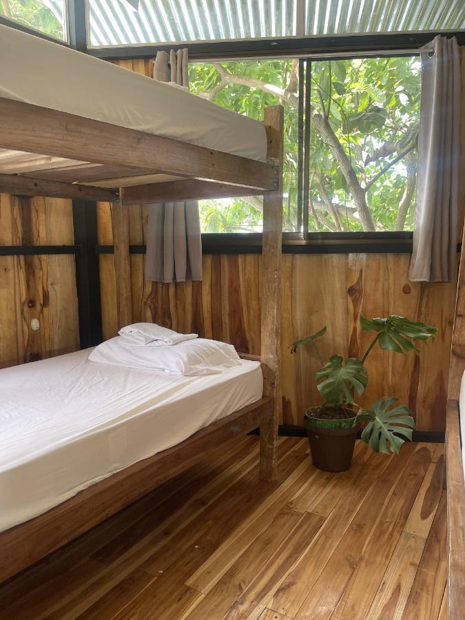 El Gato Rojas Surf Hostel Playa Santa Teresa  Ngoại thất bức ảnh