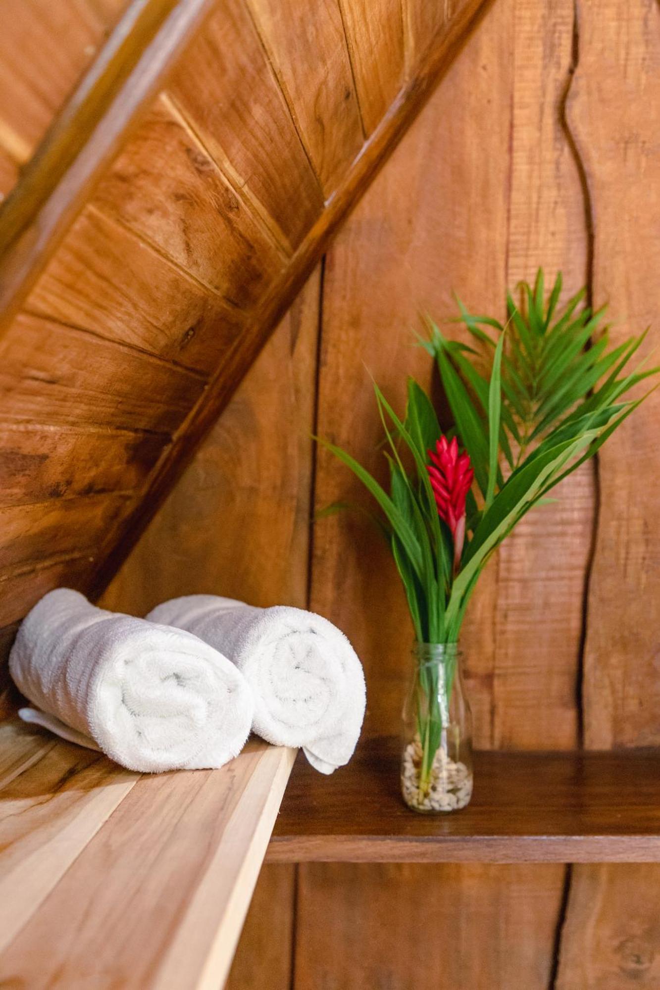 El Gato Rojas Surf Hostel Playa Santa Teresa  Ngoại thất bức ảnh