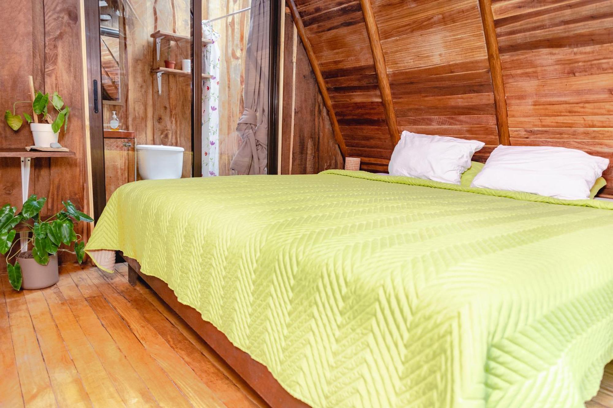 El Gato Rojas Surf Hostel Playa Santa Teresa  Ngoại thất bức ảnh