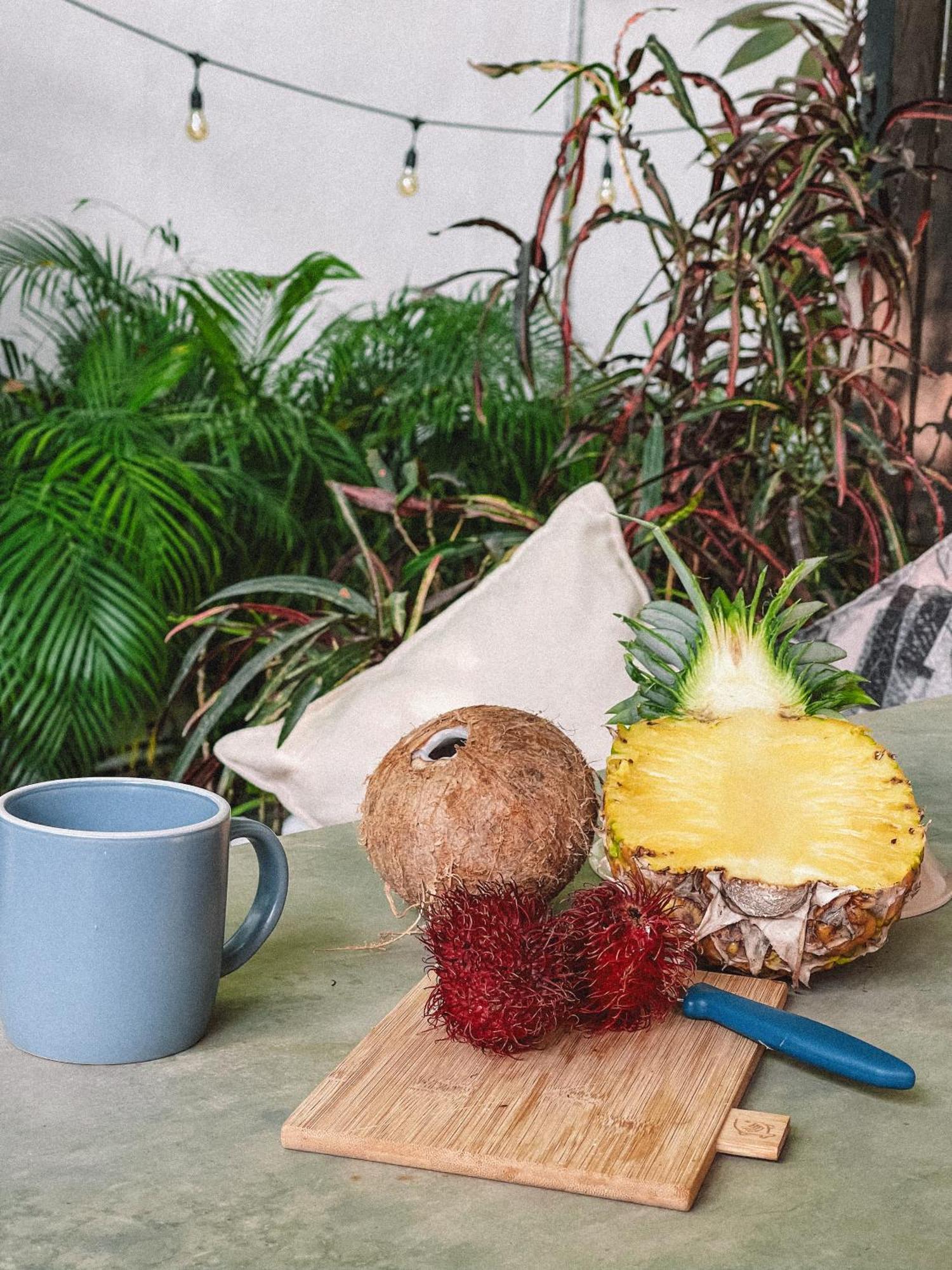 El Gato Rojas Surf Hostel Playa Santa Teresa  Ngoại thất bức ảnh